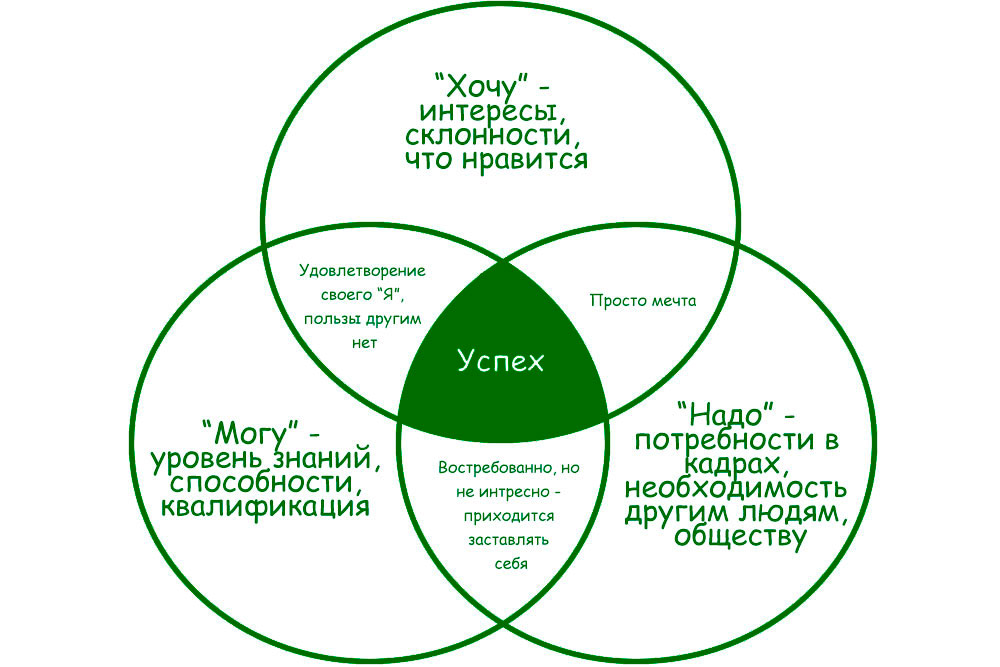 «Концепция ежа» - как выбрать профессию.